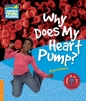 Why Does My Heart Pump? 6 Factbook - Helen Bethune