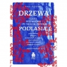 Drzewa. Czuły przewodnik po świecie drzew Podlasia Paweł Średziński