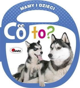 Co to Mamy i dzieci - Piotr Kozera