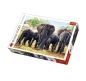 Puzzle 1000: Afrykańskie słonie (10442)