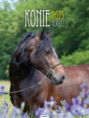 Kalendarz 2023 na spirali Konie KSMS5