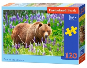 Puzzle Bear On The Meadow 120 (B-13425)