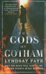 Gods of Gotham Faye Lindsay