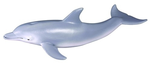 Delfin butlonosy (004-88042)