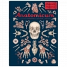 Anatomicum. Muzeum Anatomii. Wyd. 2 (Uszkodzona okładka) Paxton Jennifer Z., Wiedemann Katy