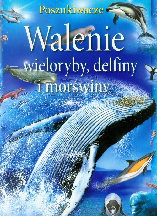 Walenie wieloryby, delfiny i morświny