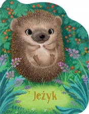 Jeżyk - Wren Rosalee