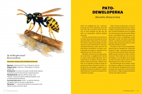 Głupie robaki i inne takie Polski - Marek Maruszczak