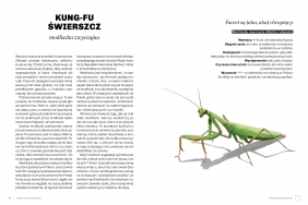 Głupie robaki i inne takie Polski - Marek Maruszczak