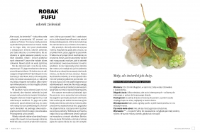 Głupie robaki i inne takie Polski - Marek Maruszczak