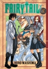 Fairy Tail  #3