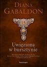 Uwięziona w bursztynie (edycja kolekcjonerska)