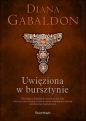 Uwięziona w bursztynie (edycja kolekcjonerska) - Diana Gabaldon