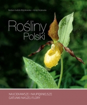 Rośliny Polski - Barbara Sudnik-Wójcikowska, Anna Orczewska