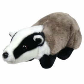 Borsuk 30cm