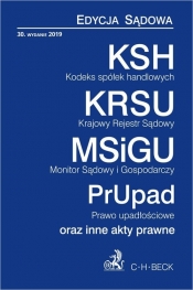 KSH KRSU MSiGU PrUpN Edycja Sądowa