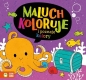 Maluch koloruje i poznaje kolory - Opracowanie zbiorowe
