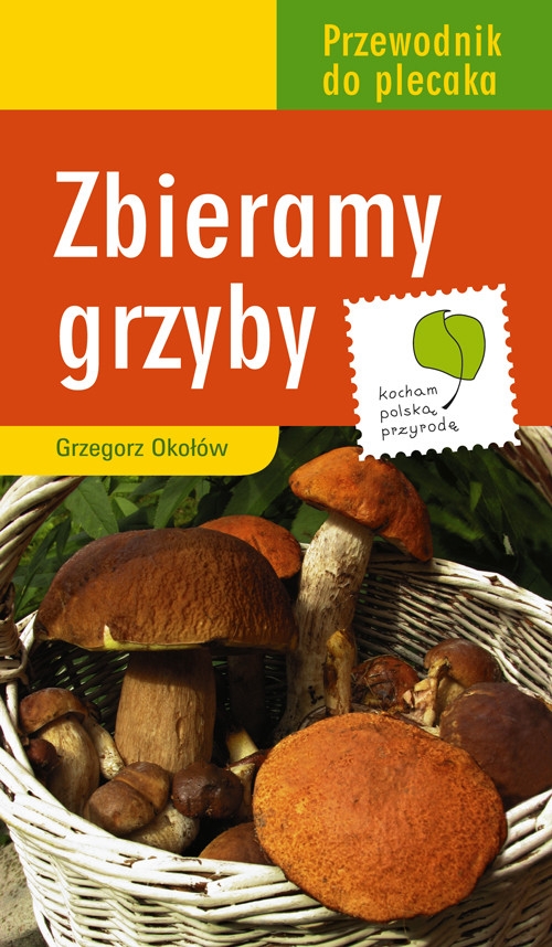 Zbieramy grzyby