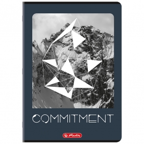 Zeszyt Herlitz A5/80k kratka z marginesem, 1 szt