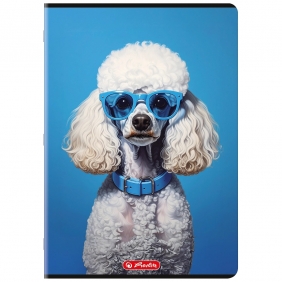 Zeszyt Herlitz A5/80k kratka z marginesem, 1 szt