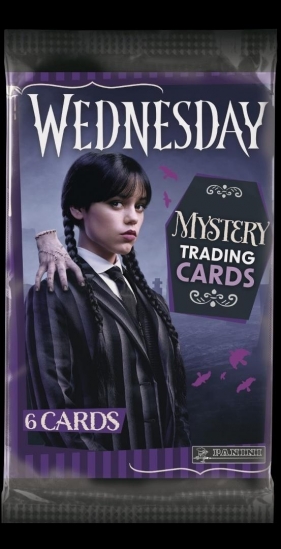 Saszetka z kartami Wednesday (24szt)