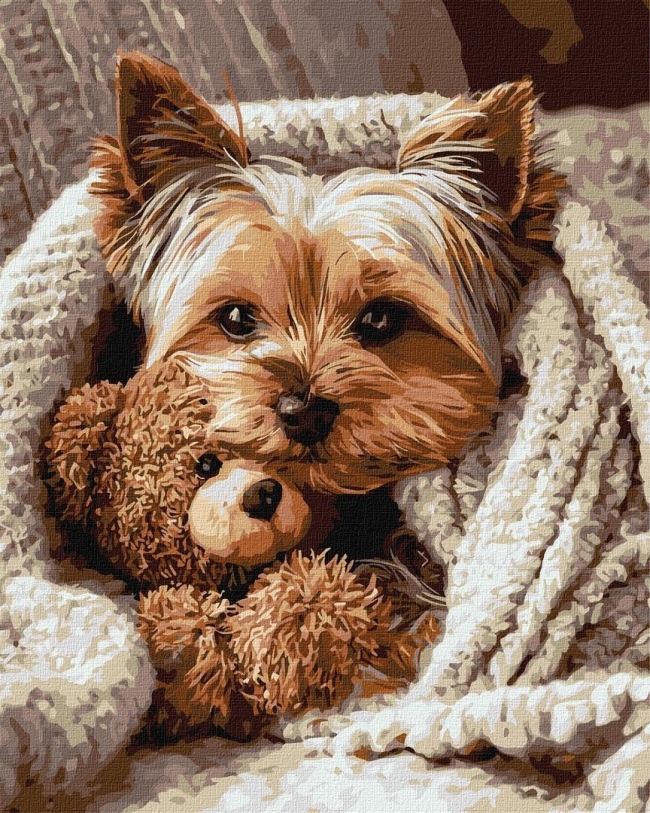 <img src='https://webimage.pl/pics/429/3/d4823104393429.jpg' style='height:440px' /> Malowanie po numerach - York z misiem 40x50cm