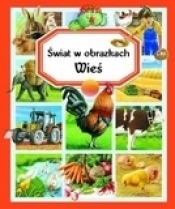 Wieś. Świat w obrazkach - Emilie Beaumont