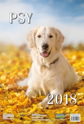 Kalendarz ścienny 2018