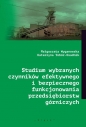 Studium wybranych czynników efektywnego i bezpiecznego funkcjonowania przedsiębiorstw górniczych - Małgorzata Wyganowska, Katarzyna Tobór-Osadnik