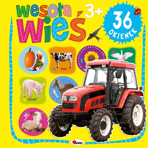 Wesoła Wieś 36 okienek