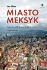  Miasto Meksyk. Poziomy zawrót głowy