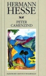 Peter Camenzind  Hesse Hermann