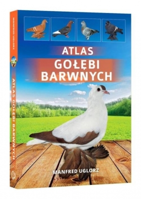 Atlas gołębi barwnych - Uglorz Manfred