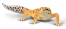 <img src='https://webimage.pl/pics/431/0/d4892900800431.jpg' width='400' height='179'> Gekon tygrysi