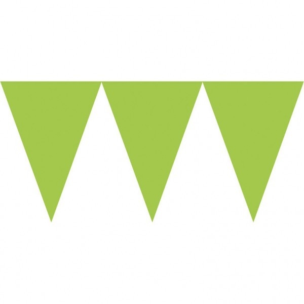 Baner papierowy 450 cm zielony kiwi (120099-53-55)