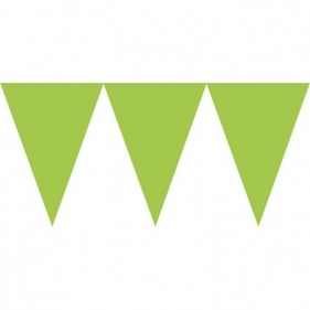 Baner papierowy 450 cm zielony kiwi (120099-53-55)