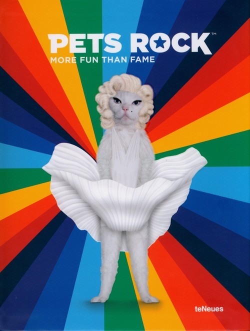 Pets Rock