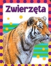 Zwierzęta - Opracowanie zbiorowe