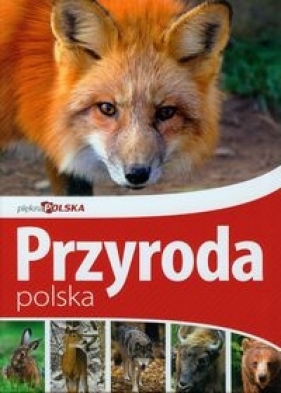 Piękna Polska Przyroda polska - Klimek Marek