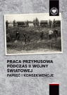 Praca przymusowa podczas II wojny światowej Pamięć i konsekwencje Wojciech Wichert, Tomasz Ślepowroński