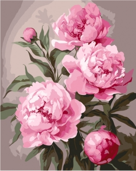Malowanie po numerach - Piwonia, 40x50cm