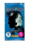Panini Harry Potter saszetka z kartami