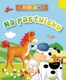 Tu i tam! Na pastwisku