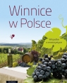 Winnice w Polsce Wszystko o enoturystyce Wawro Ewa