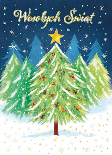 Karnet B6 Boże Narodzenie - Choinka w lesie