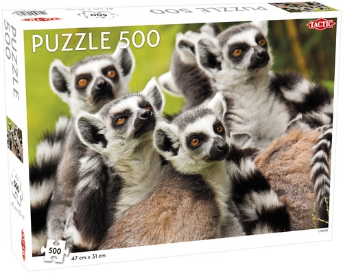 Puzzle 500: Lemurs