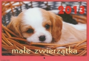 Kalendarz 2013 Małe zwierzątka - <br />
