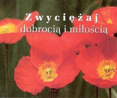 Zwyciężaj dobrocią i miłością. Perełka 193