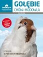 Gołębie Chów i hodowla - Ewa Strzelec
