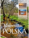 Kalendarz 2021 Ścienny Malownicza Polska